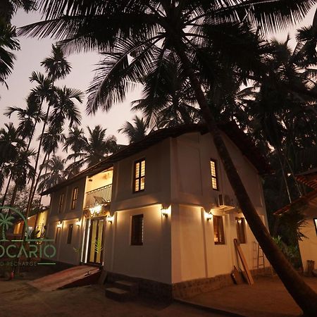 The Cocario Hotel Revadanda Exterior photo