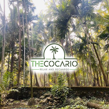 The Cocario Hotel Revadanda Exterior photo