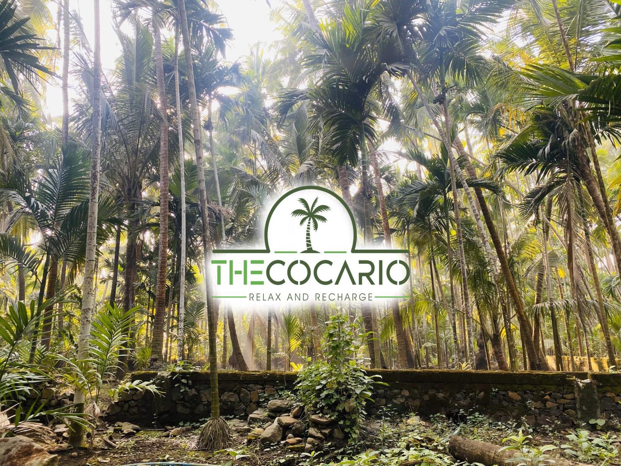 The Cocario Hotel Revadanda Exterior photo